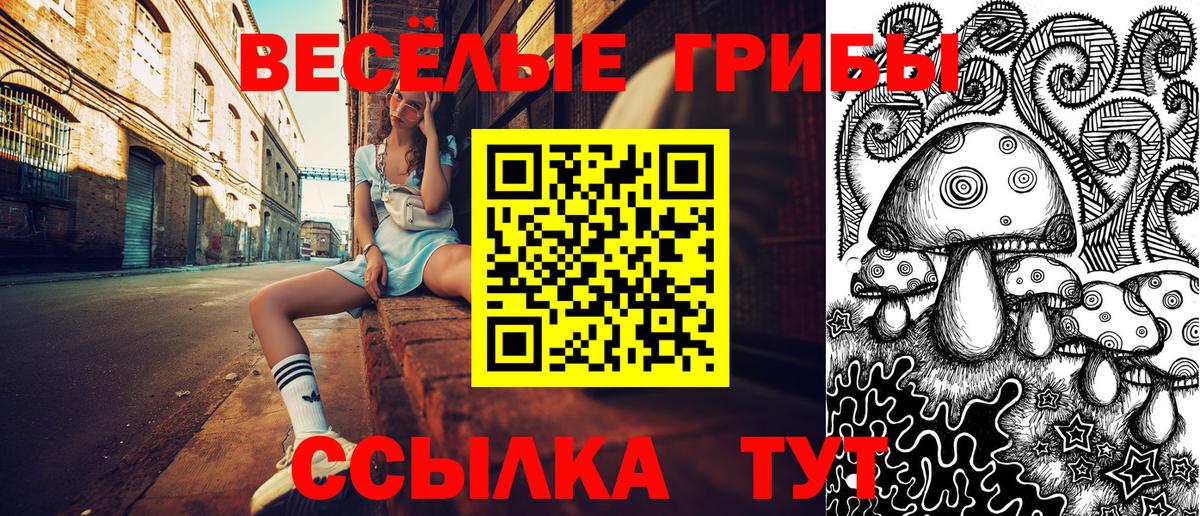 Галлюциногенные грибы мицелий Борзя