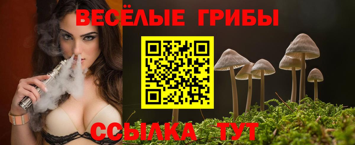 Борзя  Псилоцибиновые грибы Psilocybine cubensis  Вход с VPN 
